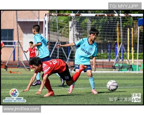 足球青训新模式探索培养未来足球明星的有效路径与实践